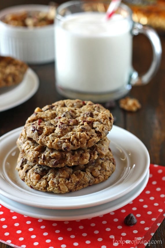 Chunky Oatmeal and Chocolate Cookies  photographed from the front