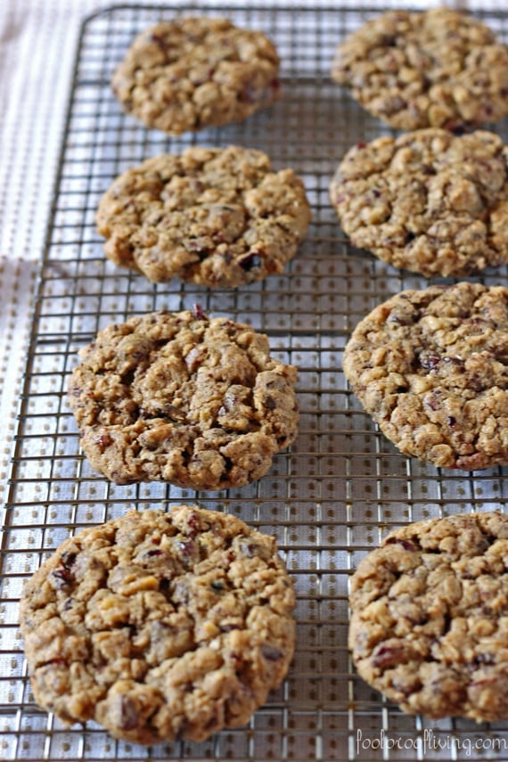Freshly baked oatmeal and chocolate cookies out of the oven on a rimmed baking sheet