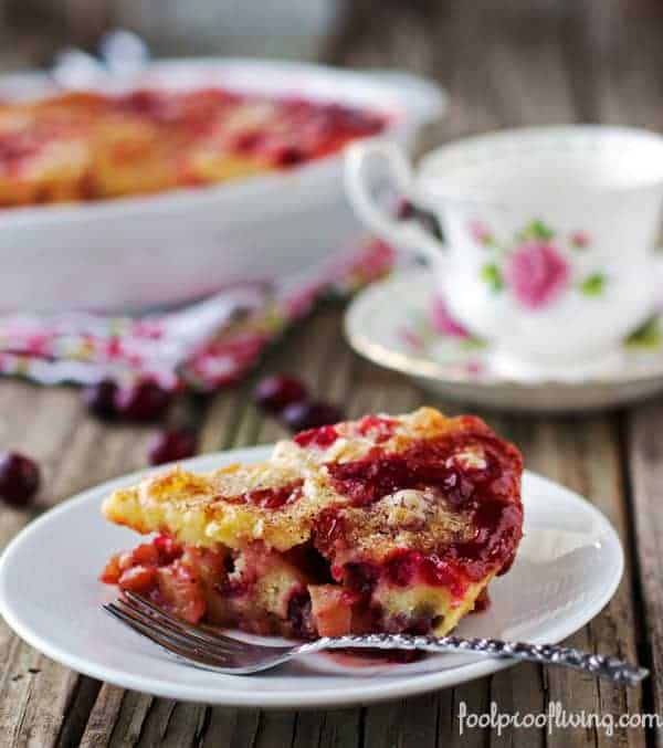 A slice of Apple Cranberry Cake photographed from the front view.