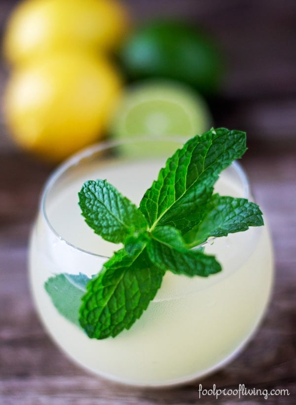 A glass of iced ginger tea garnished with fresh mint