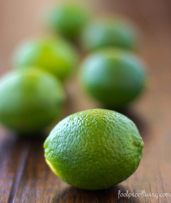 key-lime-bars-foolproof-living