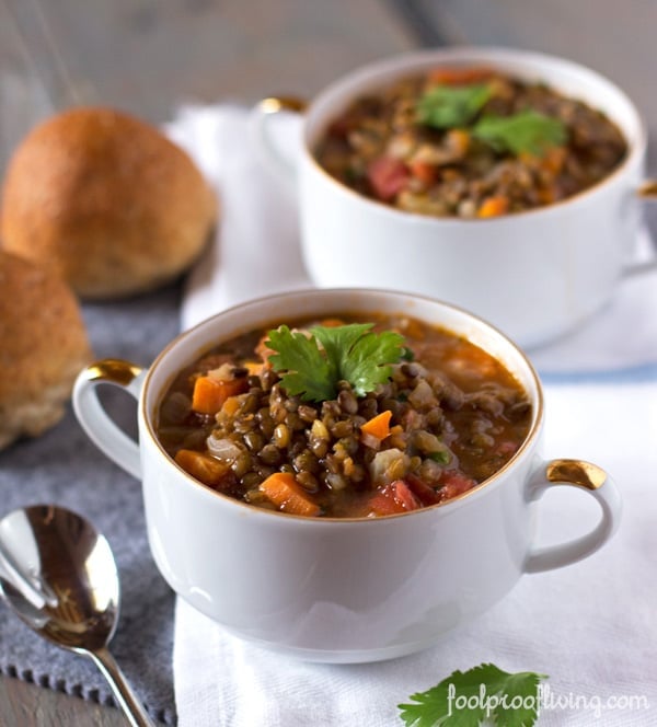 French Lentil Soup (One-Pot Weeknight Dinner) - Foolproof Living