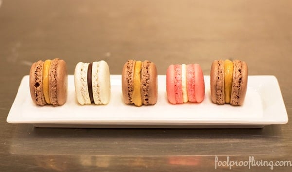 A bunch of freshly made macaron photographed from the front view