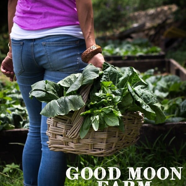Good Moon Farm, British Virgin Islands