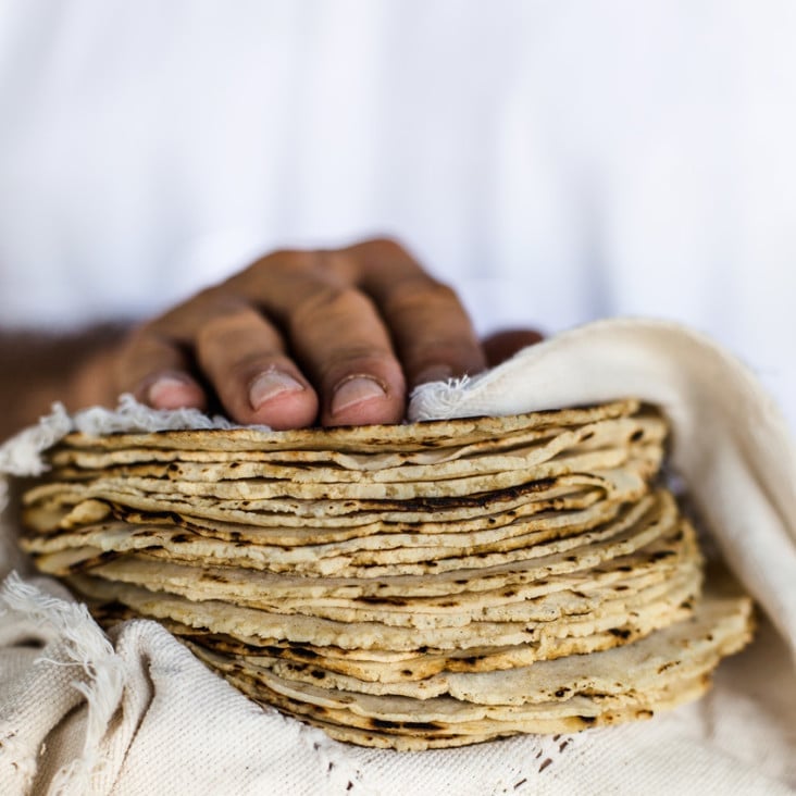 Learn How to Make Homemade Corn Tortillas with StepByStep Photos