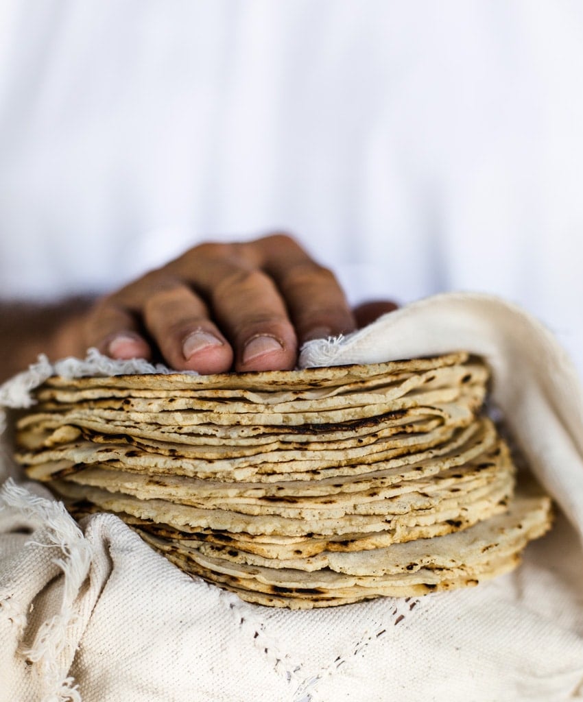 Homemade Corn Tortillas Recipe