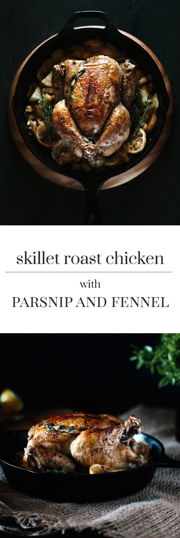 Overhead view of Skillet Roast Chicken with Parsnip and Fennel 