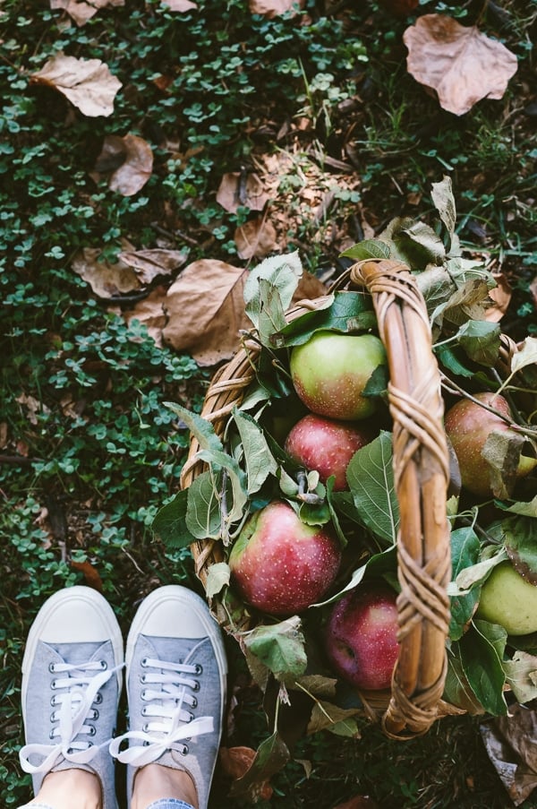 A woman's feet with apples to make applesauce