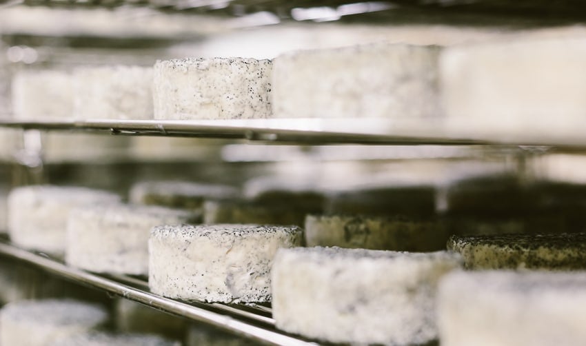 Photos and notes from my trip to Vermont Cheese Camp with Vermont Creamery