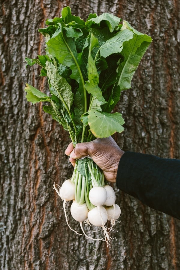 A man holding a big bunch of hakurei turnips
