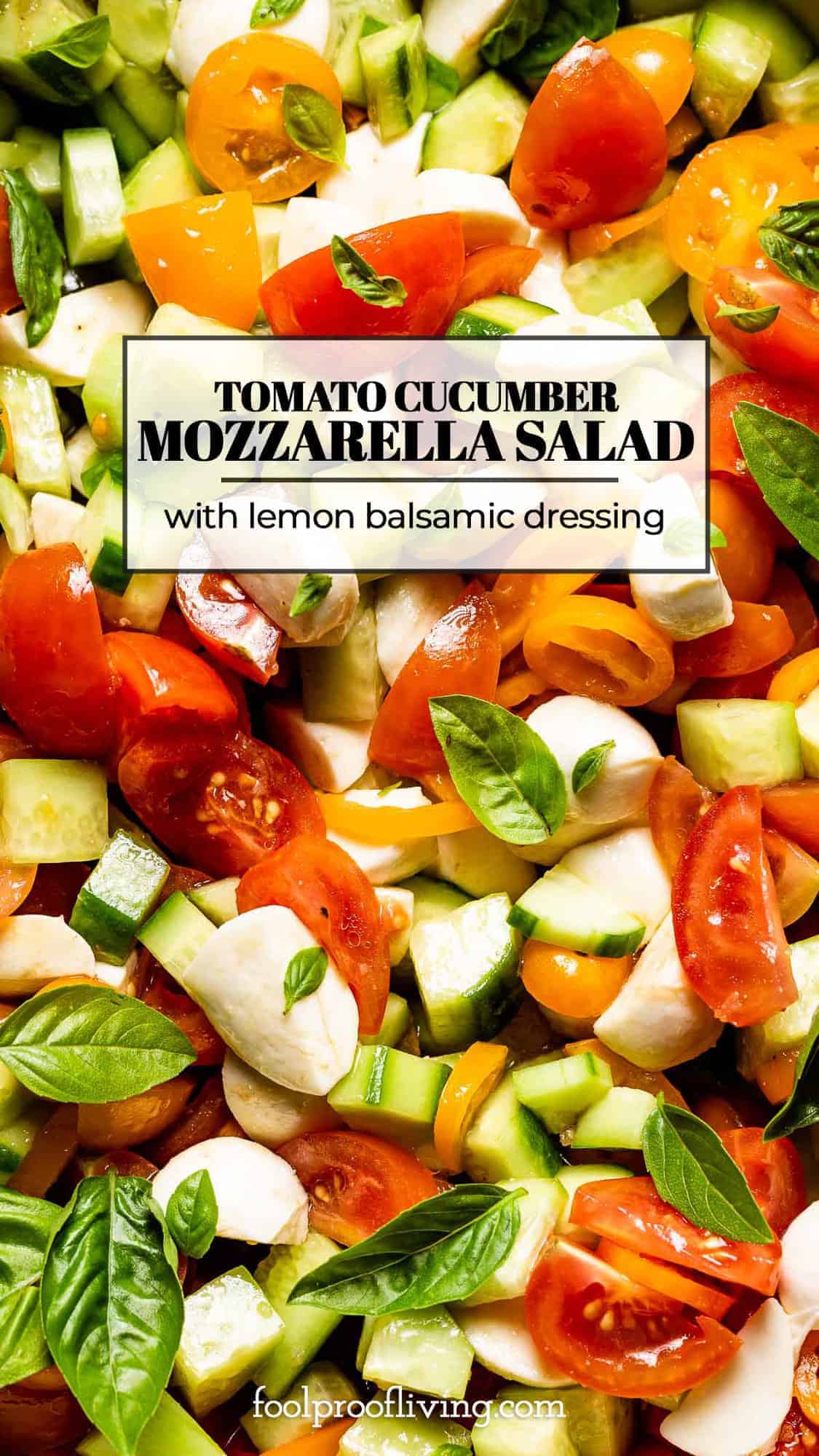 Tomato Cucumber Mozzarella Salad Recipe (Cucumber Caprese Salad)