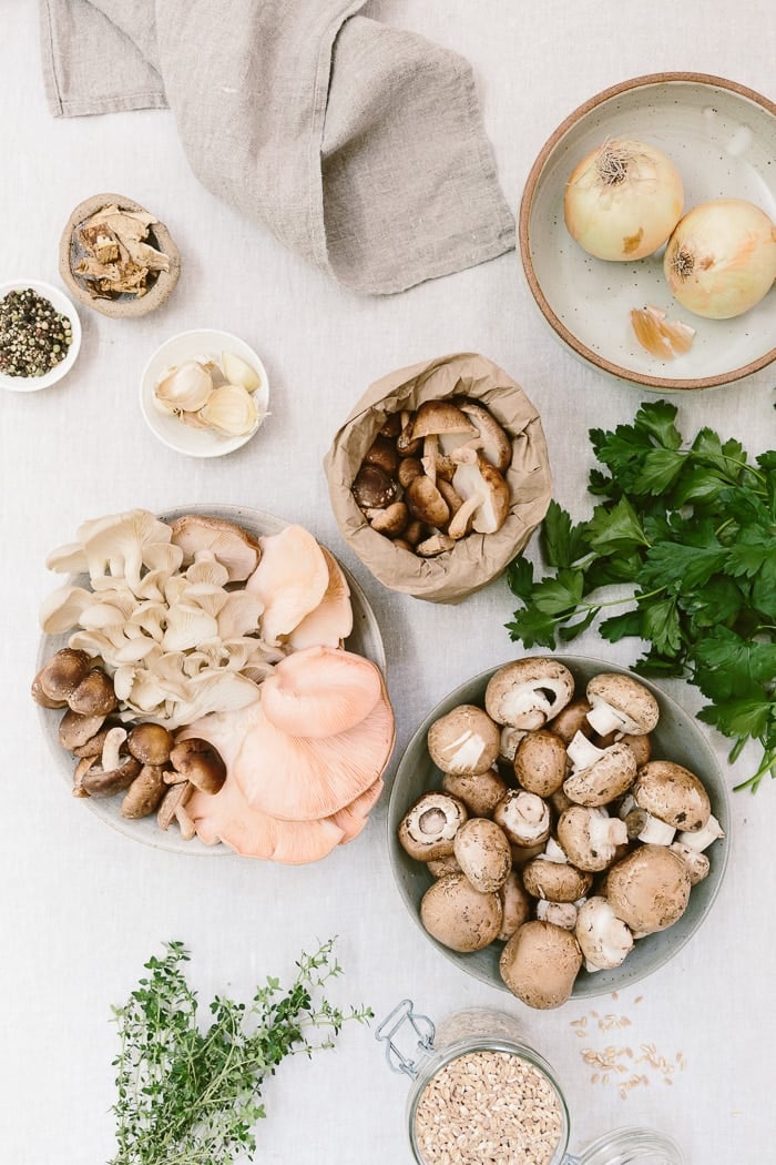 Made with a combination of assorted mushrooms, this vegan mushroom ragout with farro is a healthy, nutritious and heartwarming bowl of comfort food.