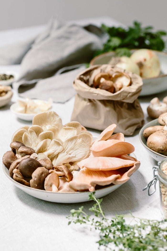 Made with a combination of assorted mushrooms, this vegan mushroom ragout with farro is a healthy, nutritious and heartwarming bowl of comfort food.