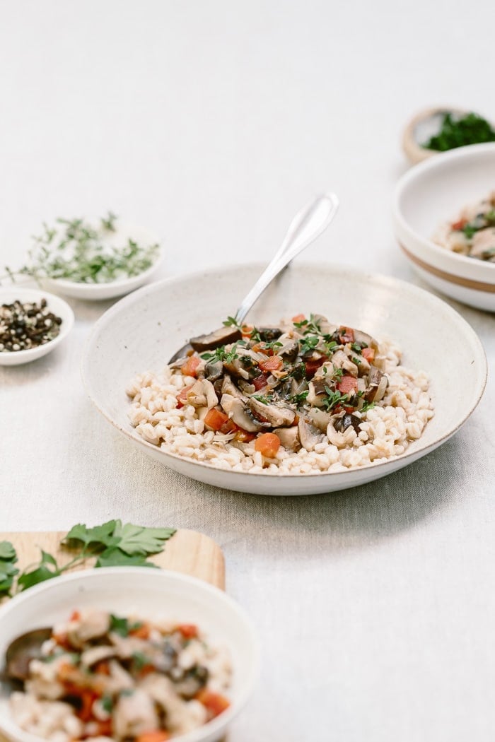 Made with a combination of assorted mushrooms, this vegan mushroom ragout with farro is a healthy, nutritious and heartwarming bowl of comfort food.