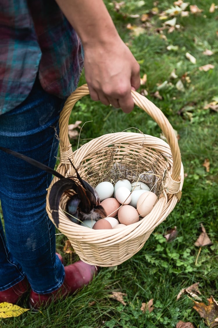 What I know for sure - A woman holding a basket full of eggs is photographed from behind