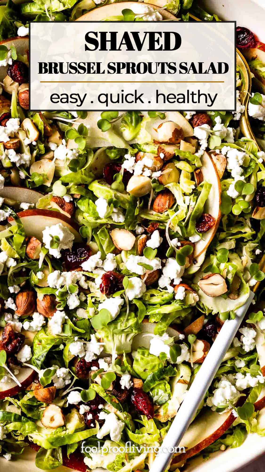 Shaved Brussel Sprout Salad with Apples and Goat Cheese