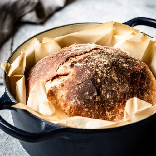 No Knead Artisan Bread Recipe Crusty Bread In Dutch Oven Foolproof Living 3242