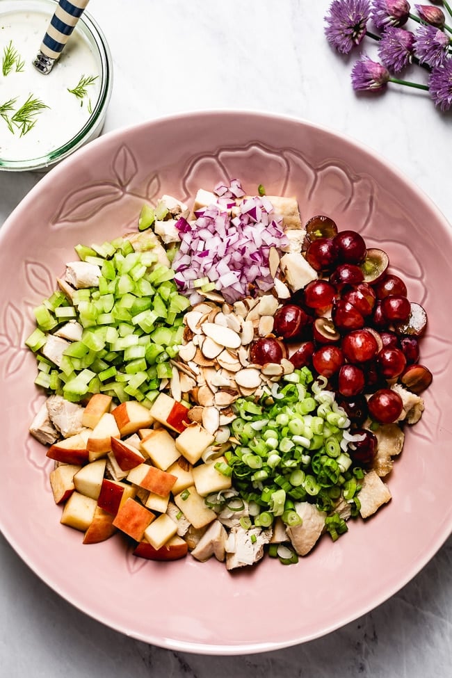 Mayo free Greek Yogurt Chicken Salad photographed from the top view before it is drizzled with the greek yogurt salad dressing.