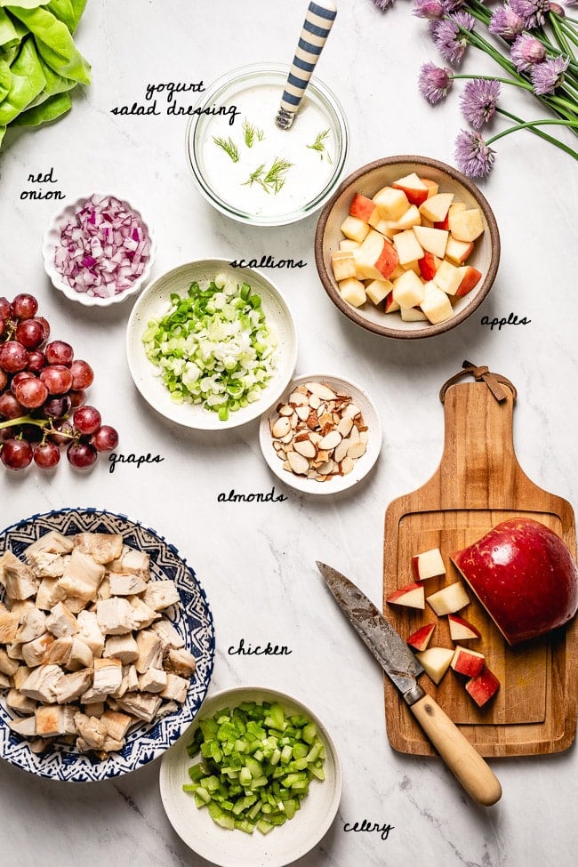 Ingredients: scallions, red onion, almonds, apples, grapes, celery, chicken and yogurt dressing are photographed on top view.