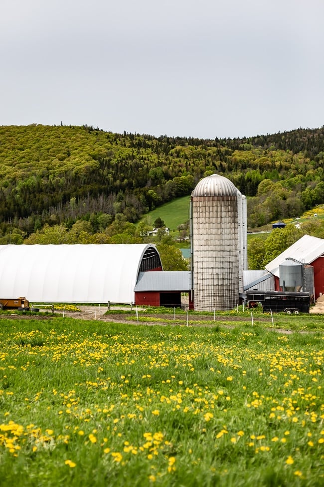 A view of one of the organic dairy farms that work with Stonyfield Organic. In Stowe Vermont