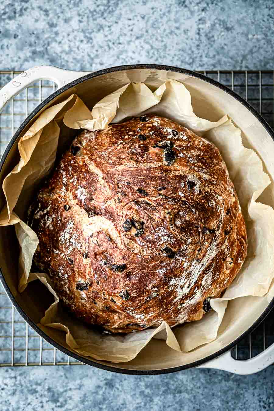 Crusty and rustic looking Olive loaf bread photographed in a Dutch oven as soon as it was taken out of the oven. 