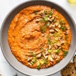 muhammara dip in a bowl from the top view