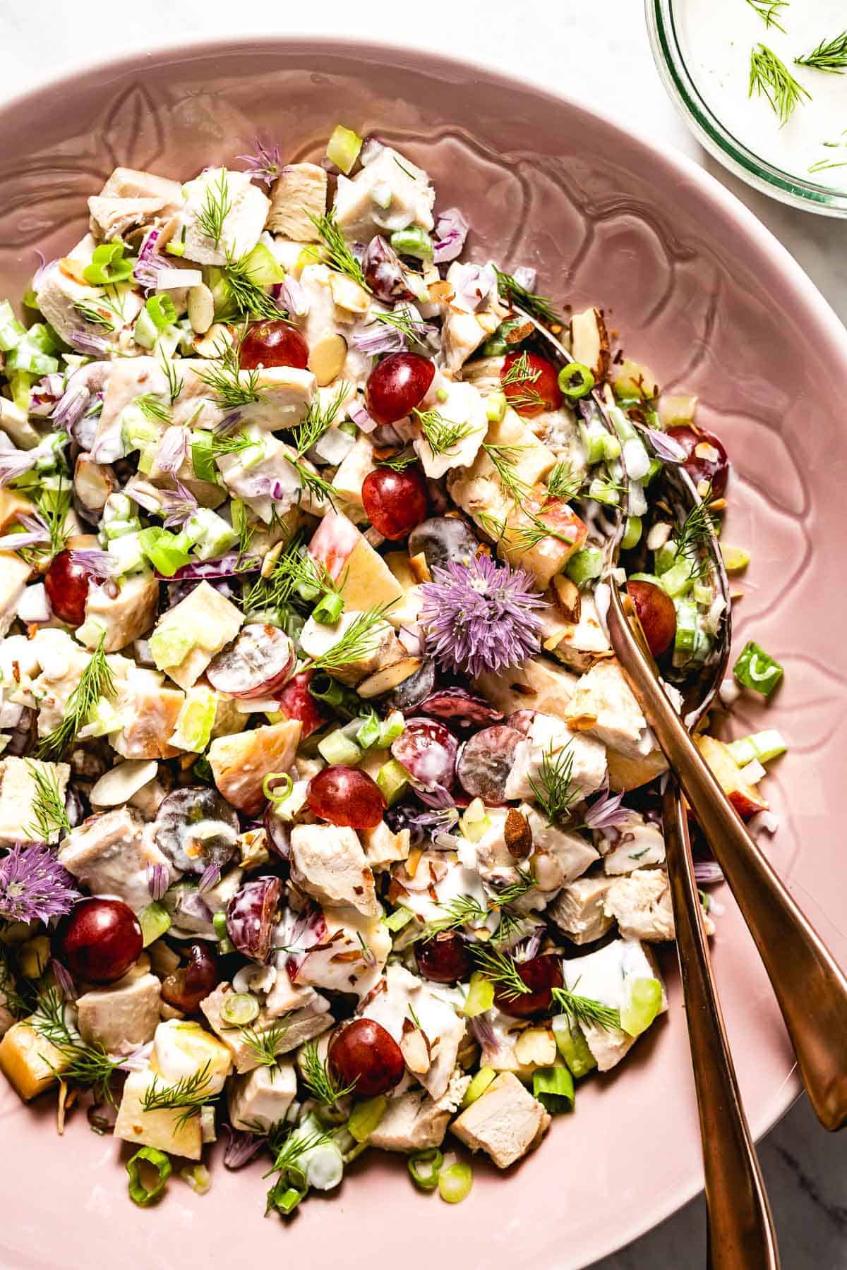 Greek Yogurt Chicken salad with apples, grapes, and avocados photographed from the top view