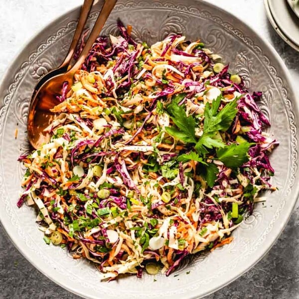 Greek Yogurt Coleslaw with Healthy Coleslaw Dressing - Foolproof Living