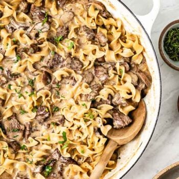 Easy Beef Stroganoff - One Skillet Recipe (VIDEO!) - Foolproof Living