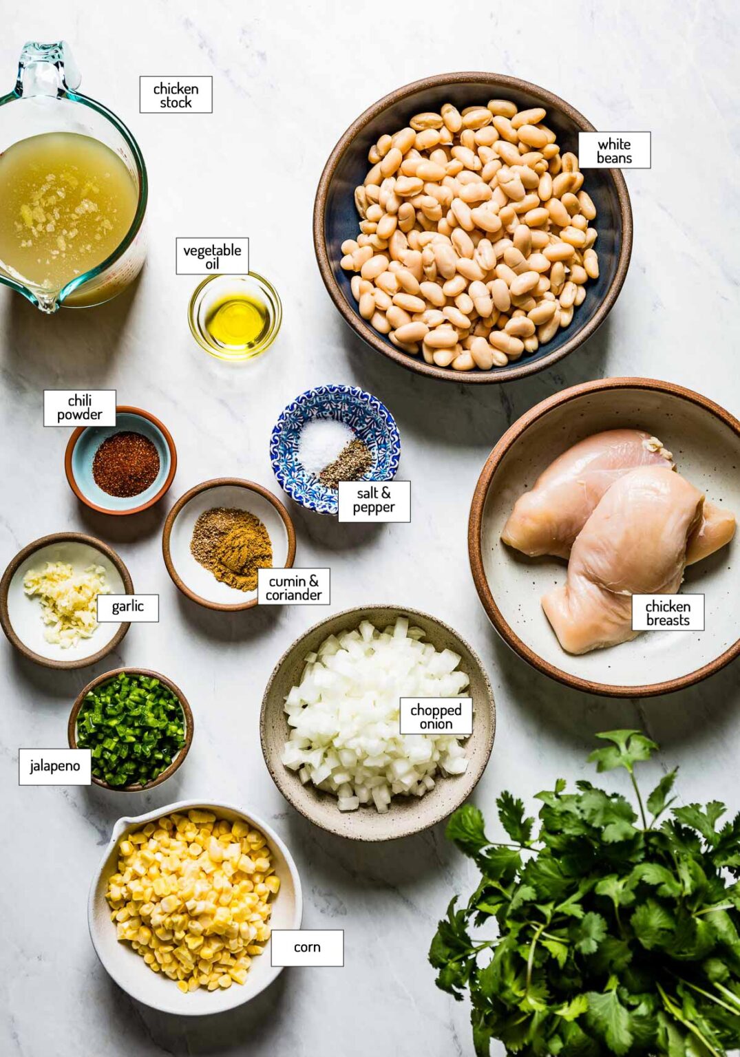 Instant Pot White Bean Chicken Chili Recipe - Foolproof Living