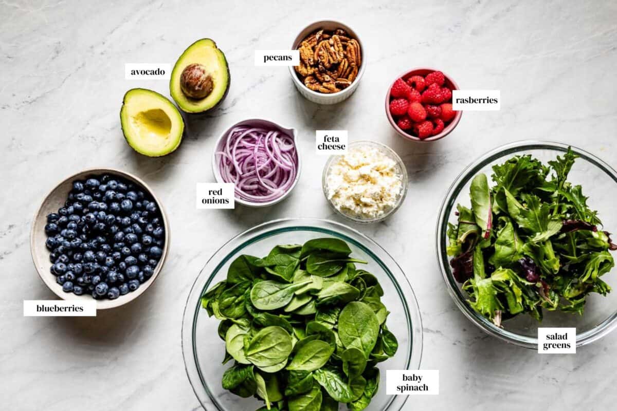 Labeled ingredients for blueberry spinach salad including fresh blueberries, baby spinach, salad greens, raspberries, pecans, red onion, avocado, and crumbled feta cheese arranged on a marble surface.