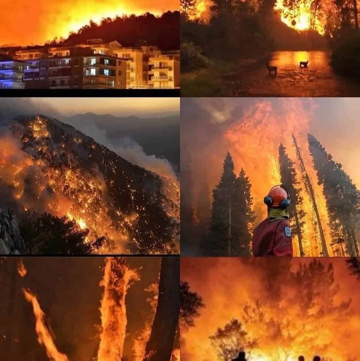 Photos of fire in Turkey
