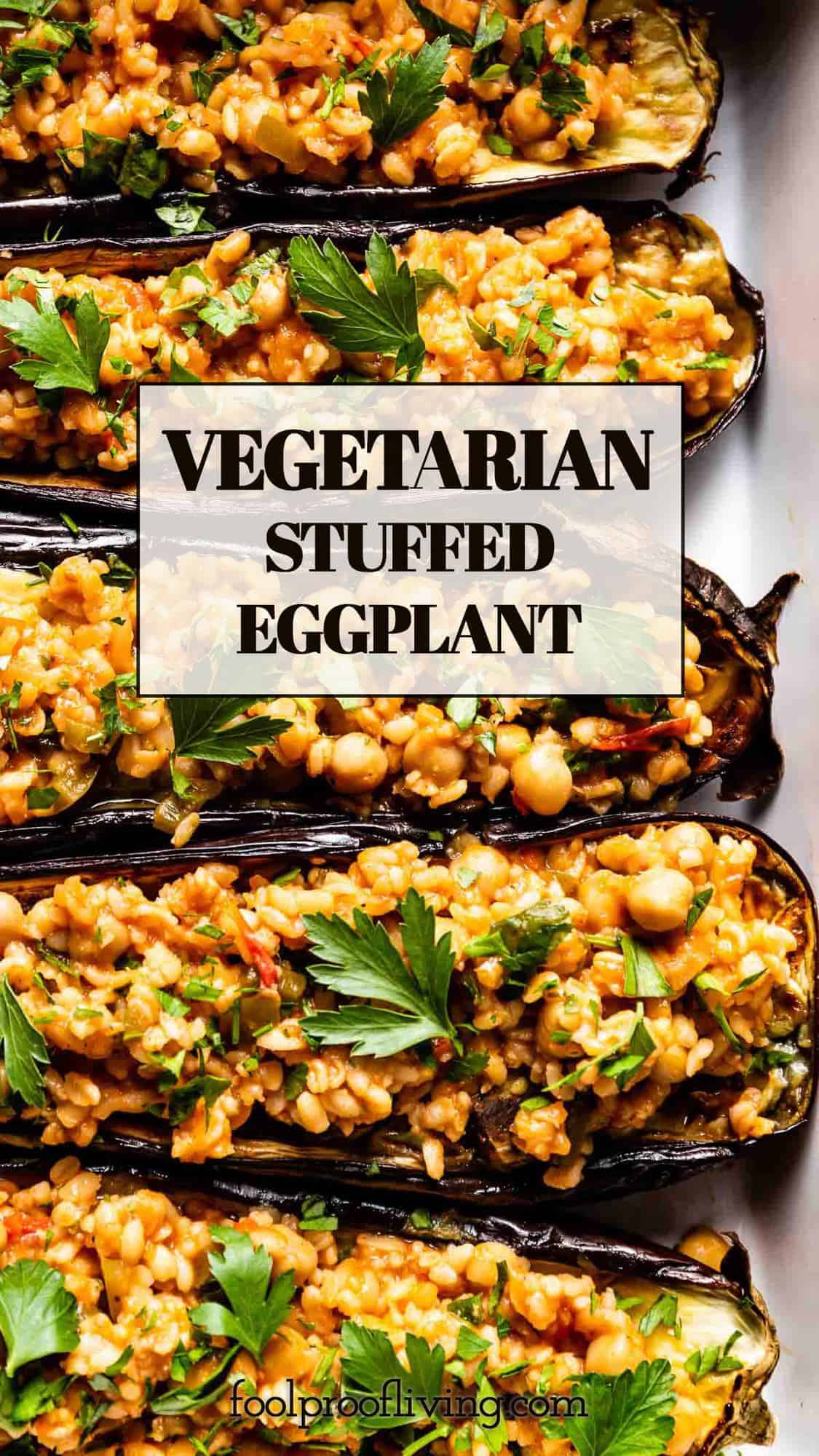 Vegetarian Stuffed Eggplant Easy Mediterranean Recipe