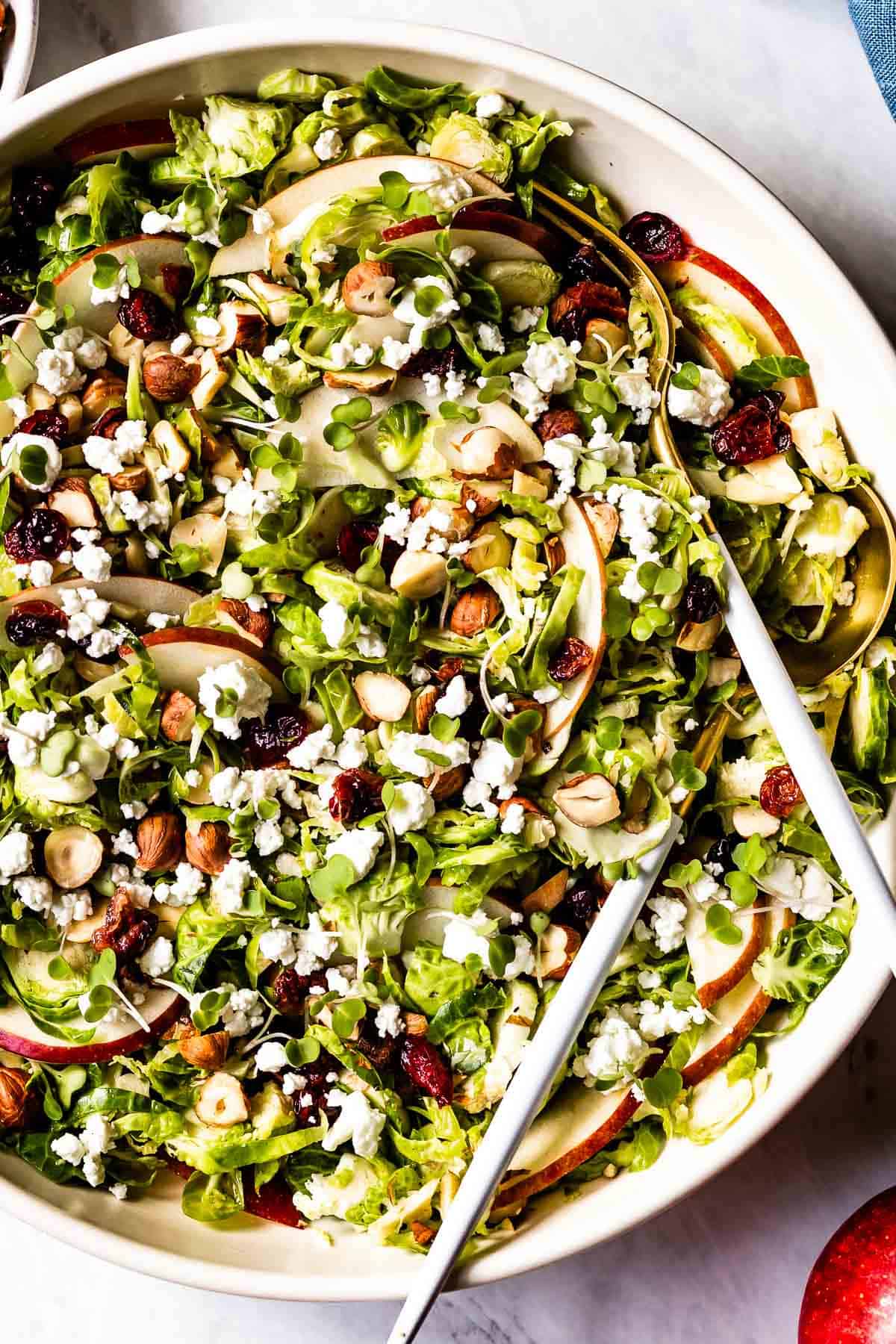 Shredded brussels sprout salad