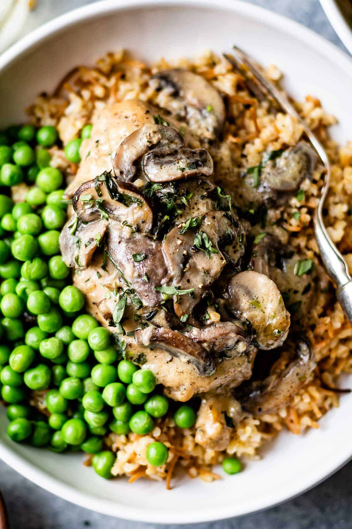 https://foolproofliving.com/wp-content/uploads/2021/12/Chicken-Fricassee-recipe.jpg