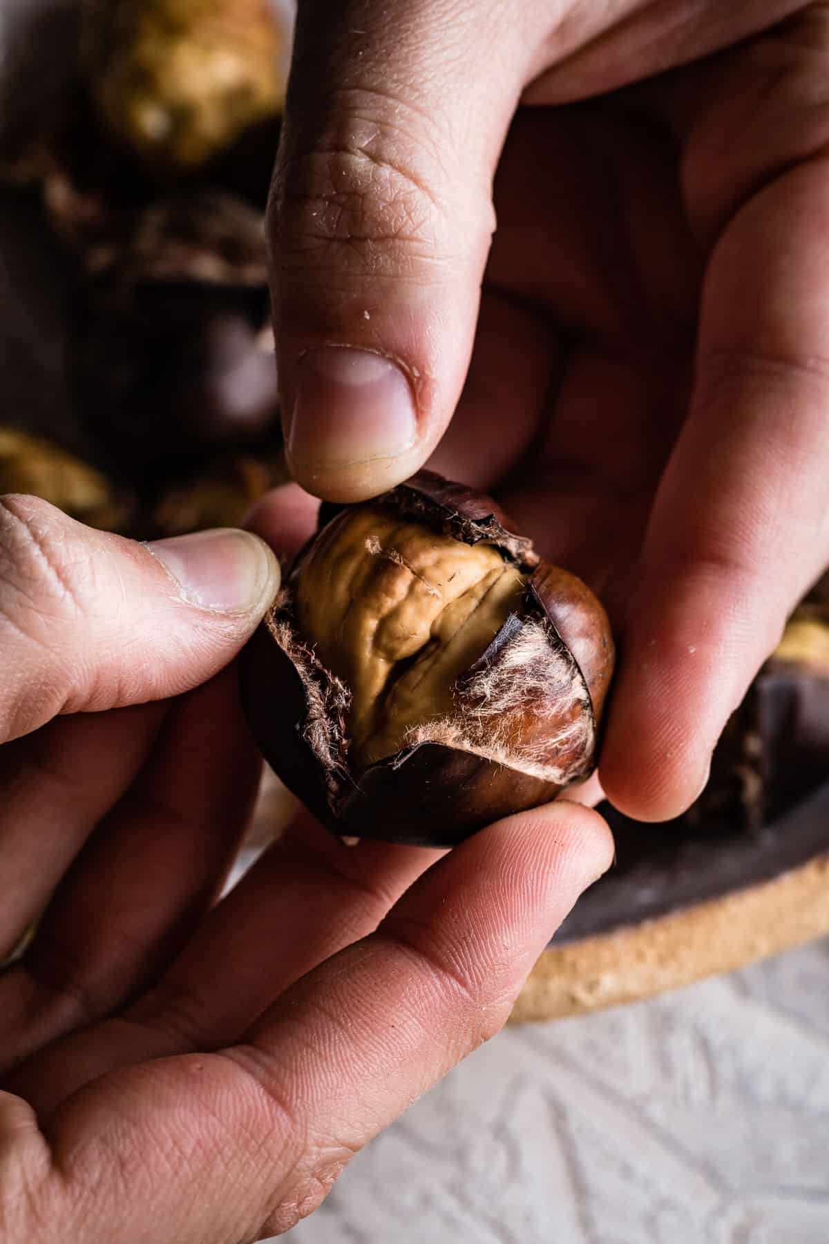 roasted chestnut being held by a person