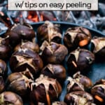 https://foolproofliving.com/wp-content/uploads/2021/12/roasted-chestnuts-fire-150x150.jpg