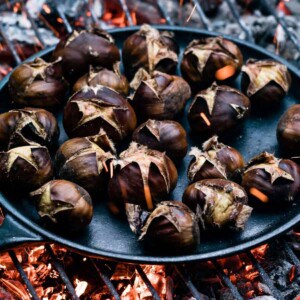 chestnuts roasted on an open fire over a hot bed of coals