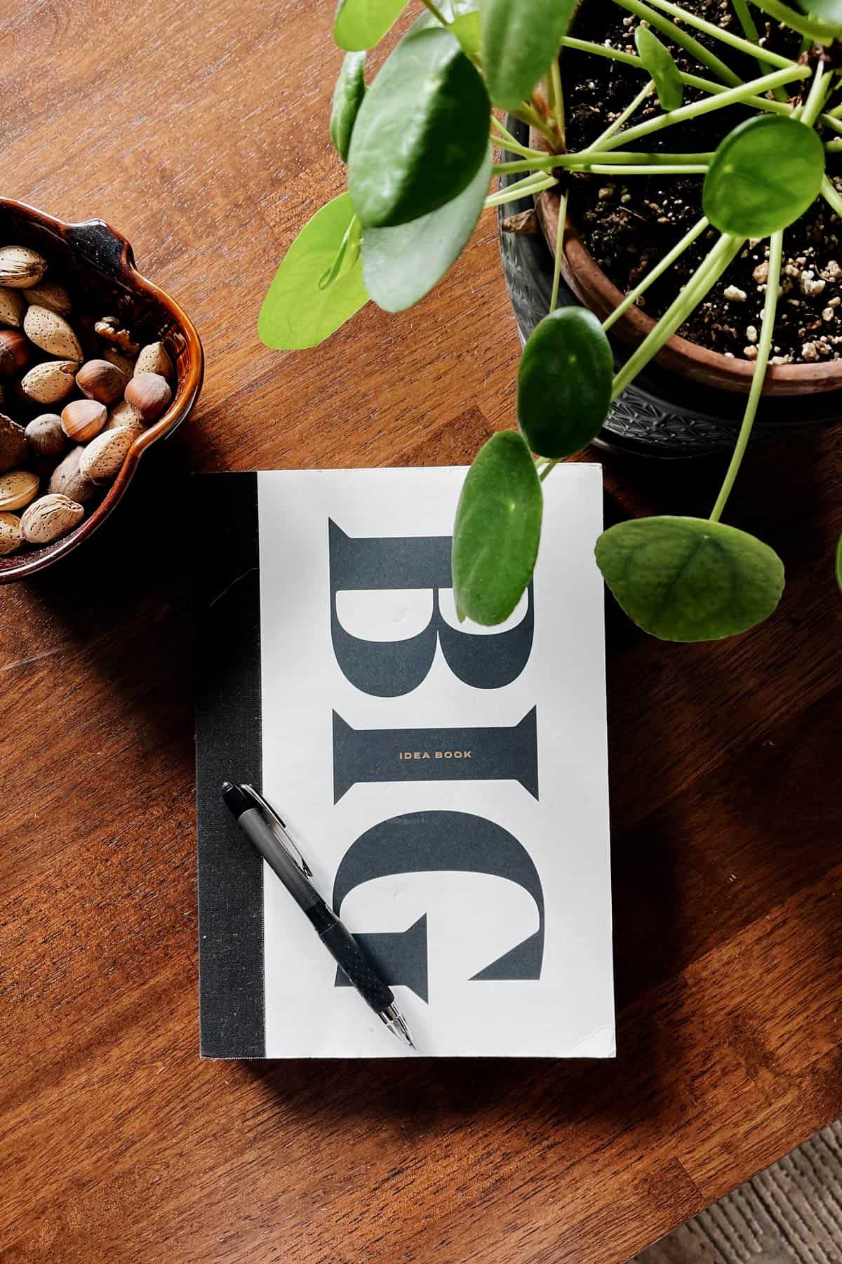 A notebook called Big Idea Notebook with a pan 