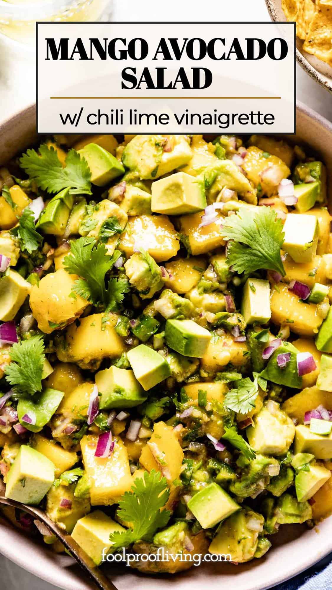 Mango Avocado Salad Healthy 15 Minute Recipe