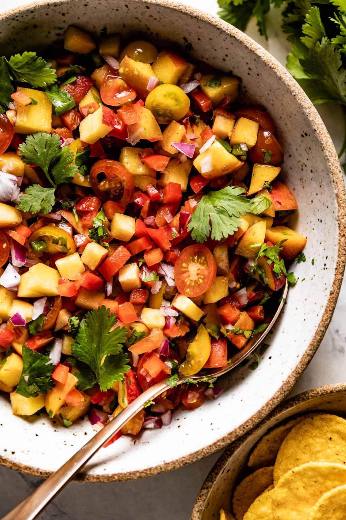 Fresh peach salsa with tomatoes in a large bowl from the top view