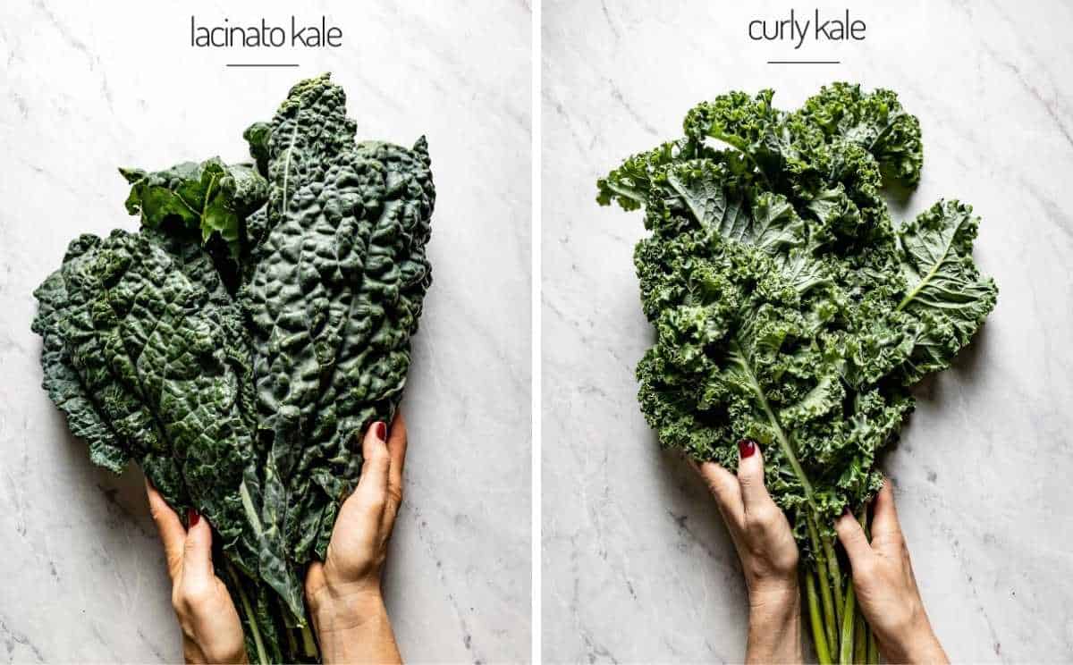 A side-by-side comparison of kale varieties: curly kale with wavy edges on the left and Lacinato kale (Tuscan or dinosaur kale) with flat, dark green leaves on the right.