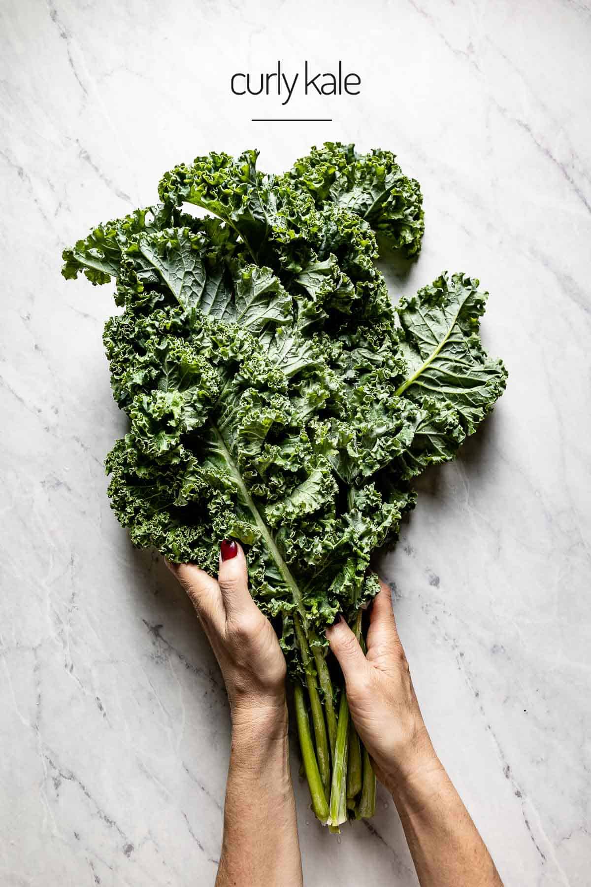 A person holding a bunch of curly kale from the top view. 