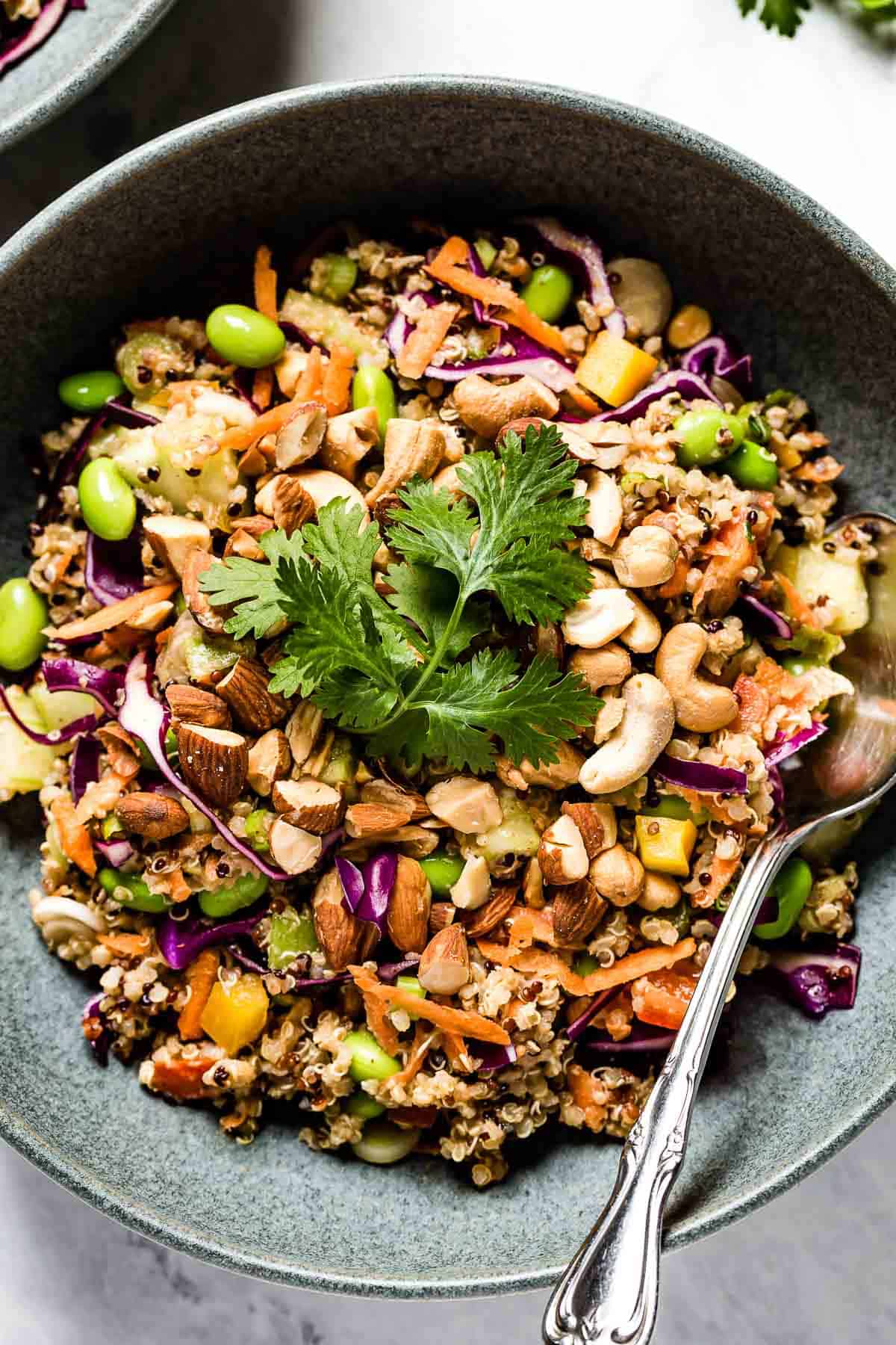 Thai Quinoa Salad in a bowl garnished with peanuts and cilantro with a spoon