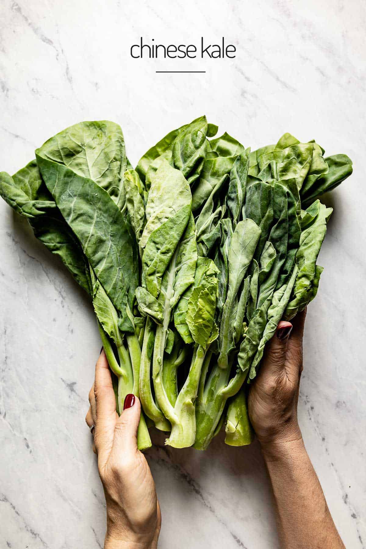 A person holding some Chinese kale leaves from the top view. 