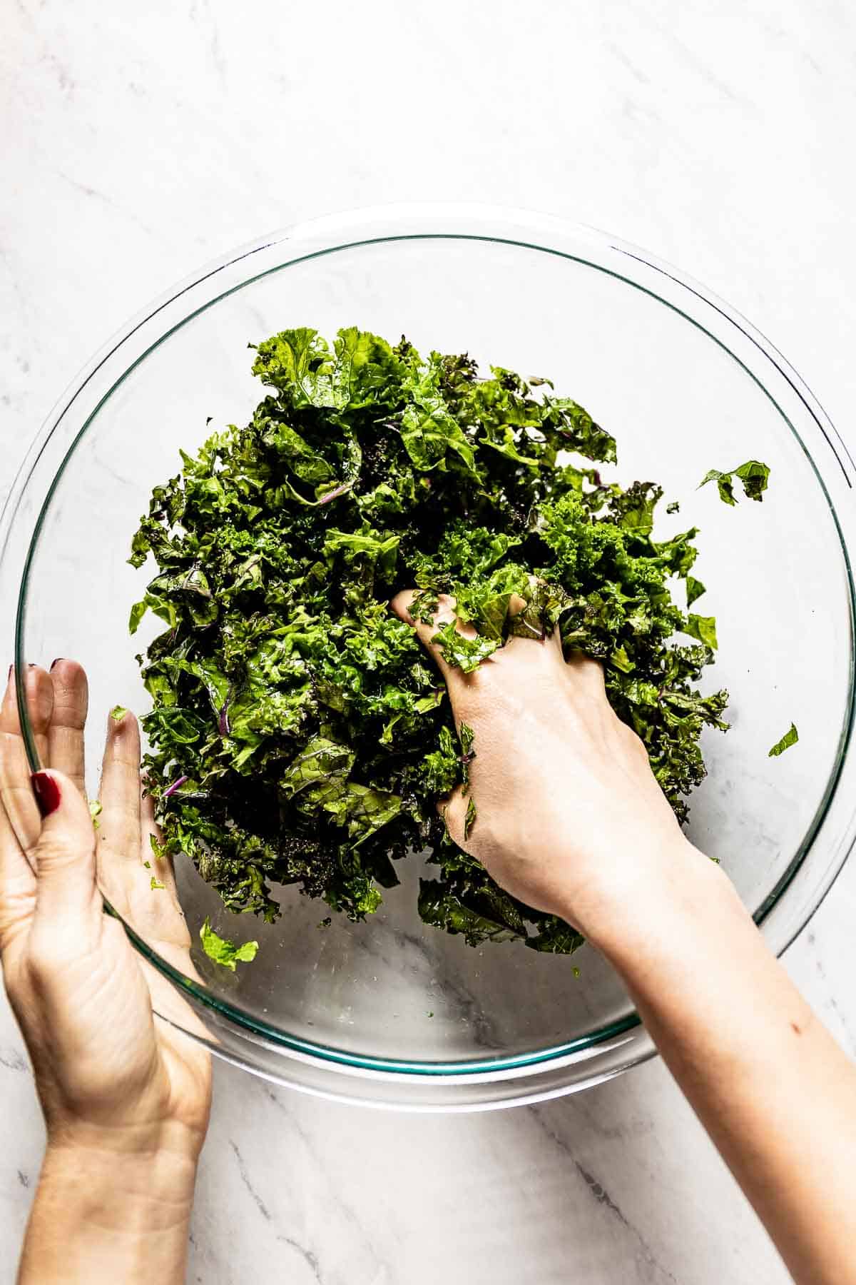 Græder Sporvogn fusionere How to Massage Kale For Salad (With or Without Oil)