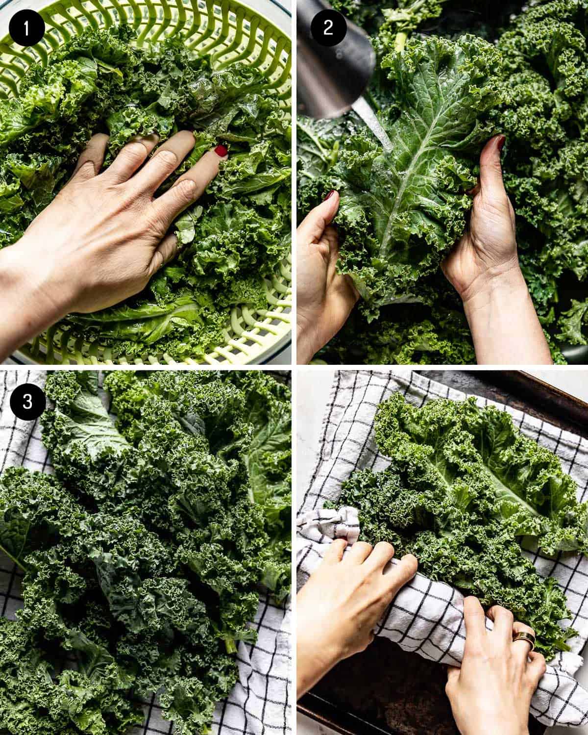 A person washing and drying kale on a kitchen towel from the top view. 