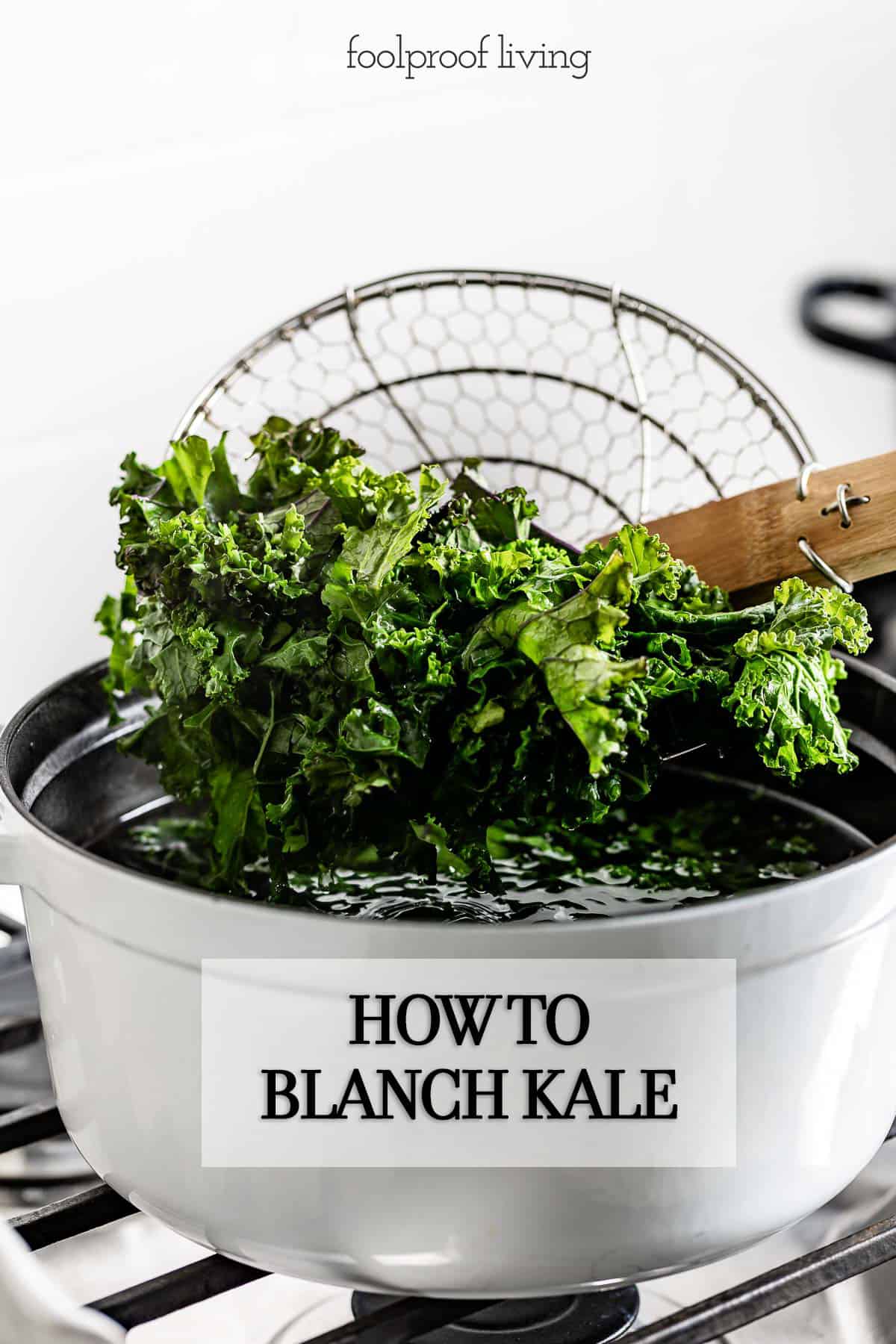 Blanched Kale Serve As A Side Dish Or Freeze For Later   Kale Seasoning 