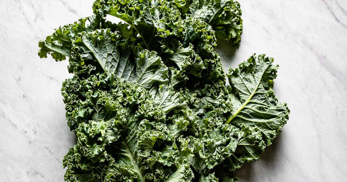 Types of Kale 7 Common Varieties + How To Use Them