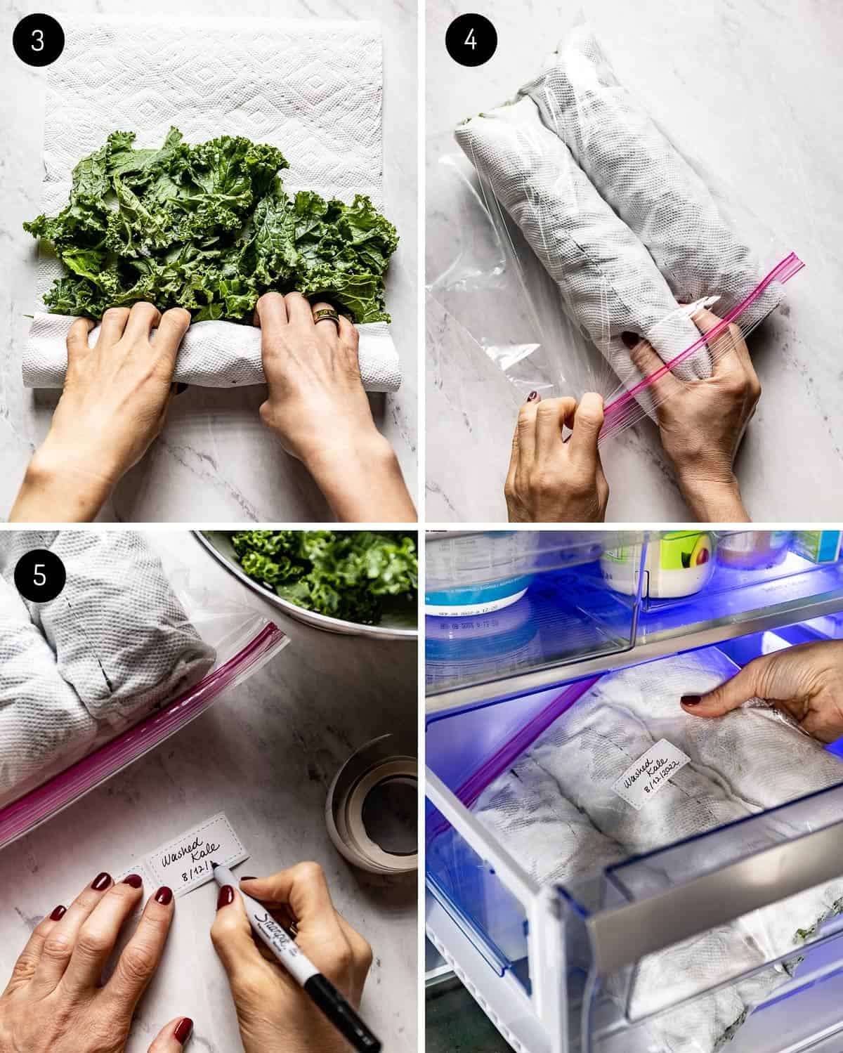 A person drying kale with a paper towel and storing in the fridge in a plastic bag. 